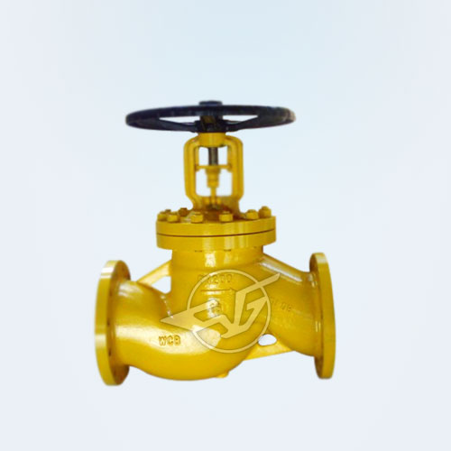  Chlorine dedicated globe valve 